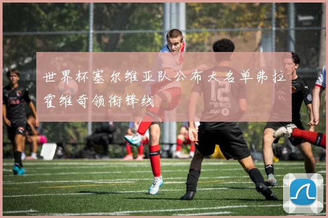 世界杯塞尔维亚队公布大名单弗拉霍维奇领衔锋线