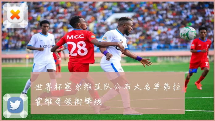 世界杯塞尔维亚队公布大名单弗拉霍维奇领衔锋线