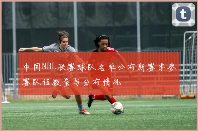 中国NBL联赛球队名单公布新赛季参赛队伍数量与分布情况